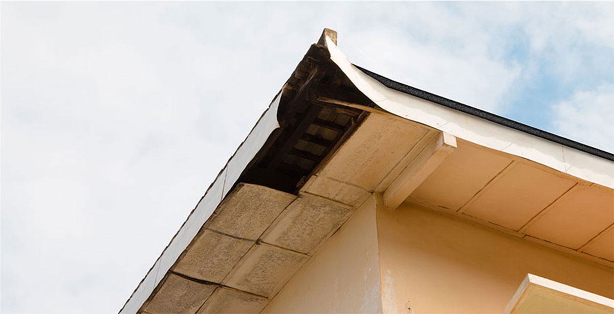 Fascia / Soffit Repair