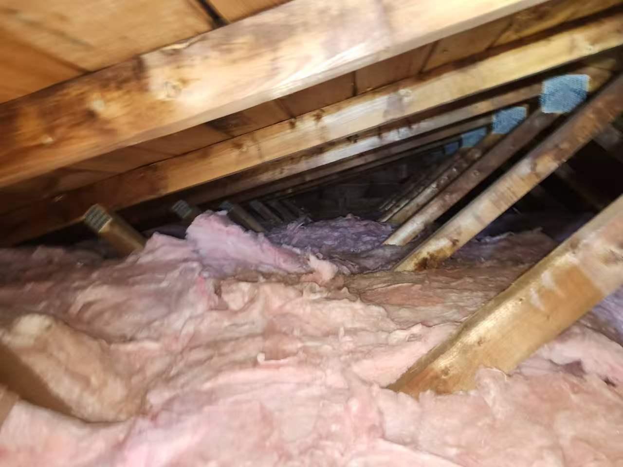Insulation project