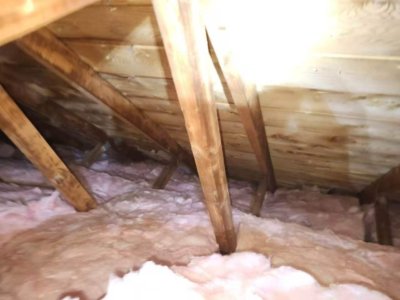 Insulation project