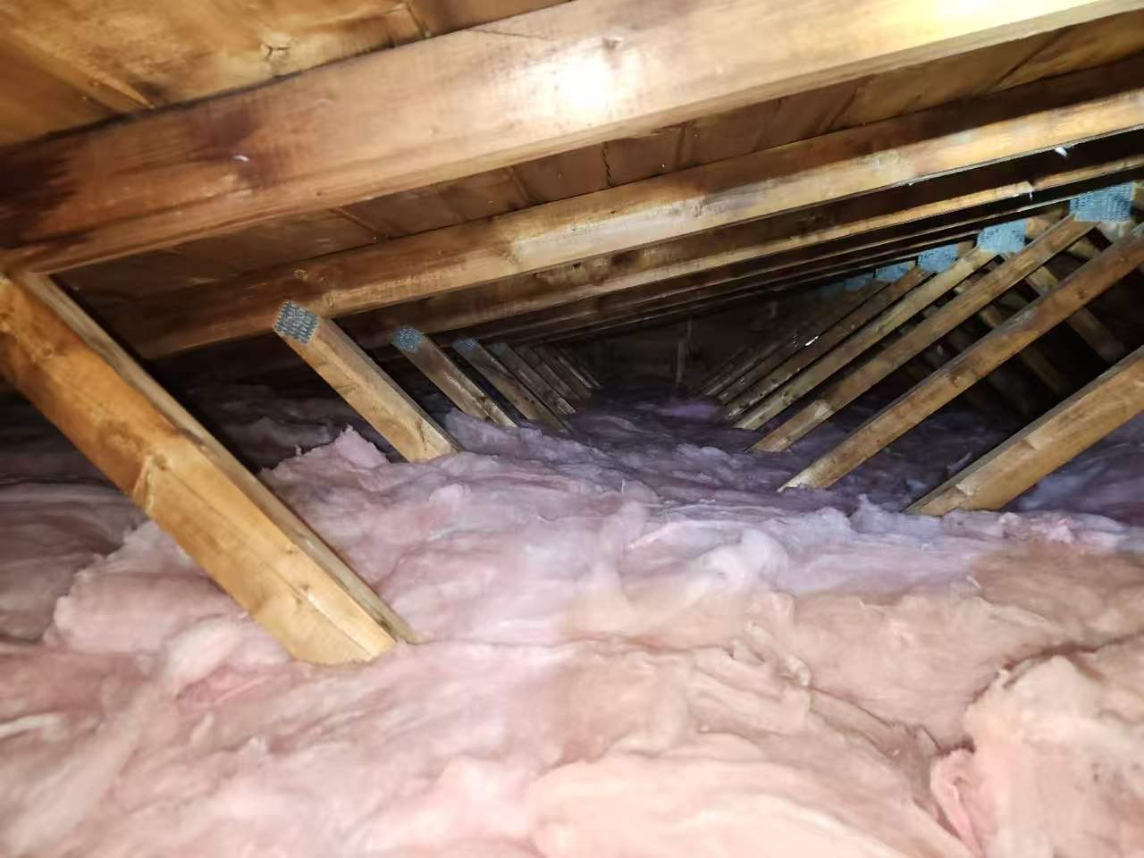 Insulation project