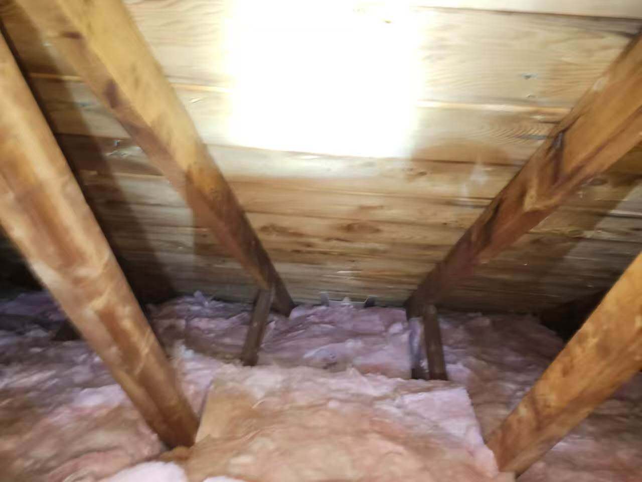 Insulation project