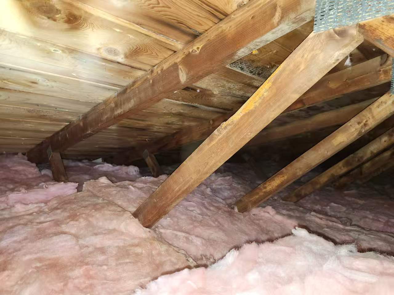 Insulation project