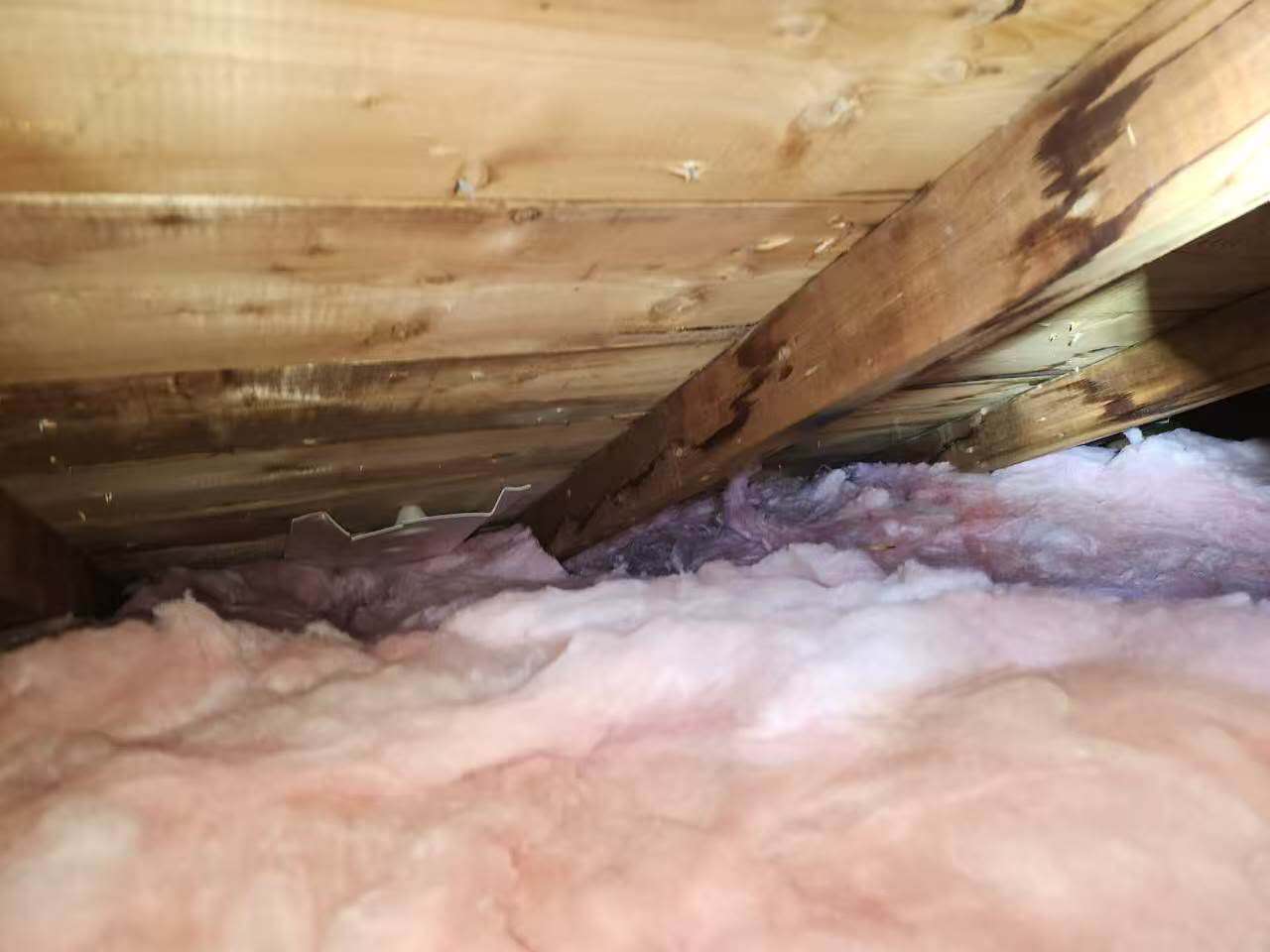 Insulation project