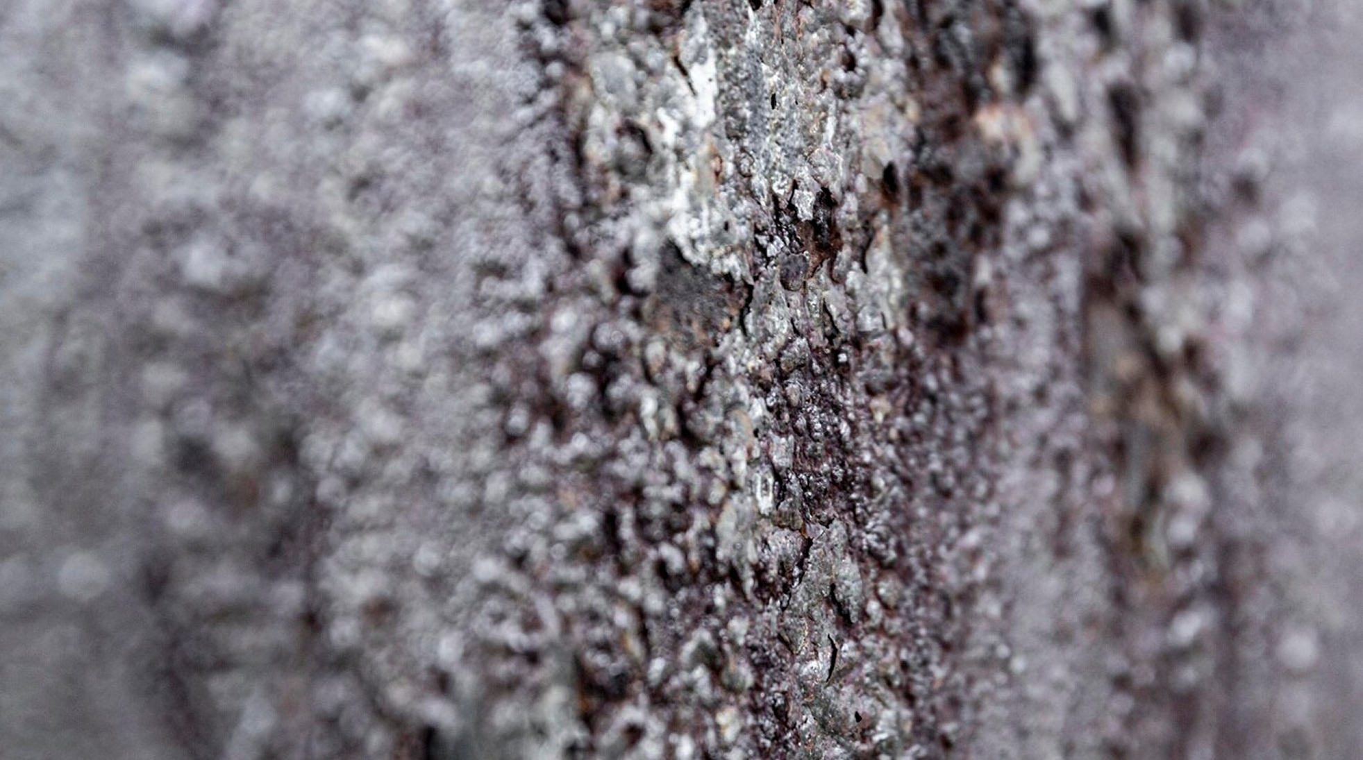 Noise Reduction