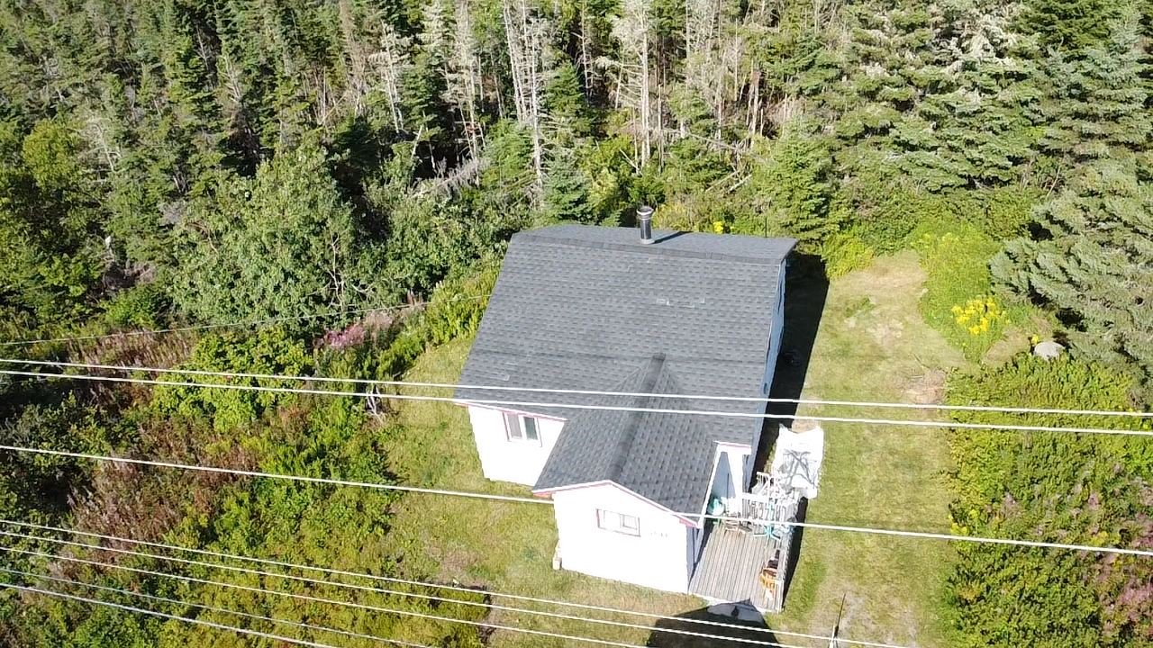 Shingle project