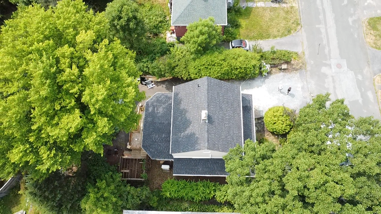 Shingle project